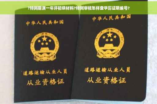 ?特岗期满一年评初级材料?特岗审核怎样查学历证明编号?