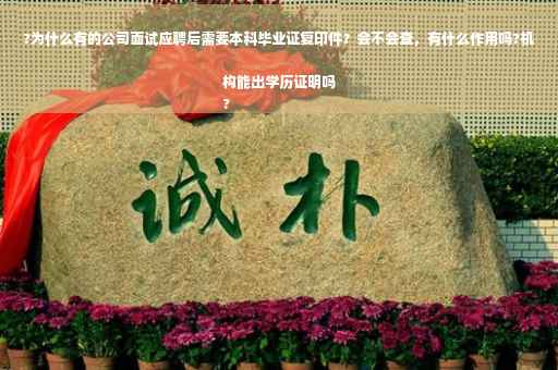 ?为什么有的公司面试应聘后需要本科毕业证复印件？会不会查，有什么作用吗?机构能出学历证明吗
?