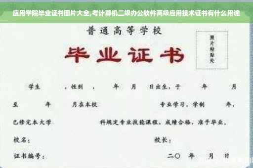 应用学院毕业证书图片大全,考计算机二级办公软件高级应用技术证书有什么用途
