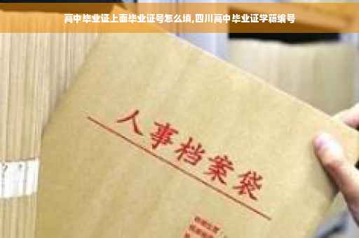 高中毕业证上面毕业证号怎么填,四川高中毕业证学籍编号