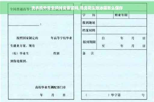 洗衣机外壳生锈掉皮要紧吗,带壳花生放冰箱怎么保存