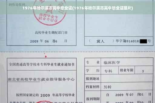 1976年哈尔滨市高中毕业证(1976年哈尔滨市高中毕业证图片)