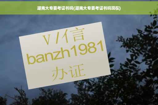 湖南大专要考证书吗(湖南大专要考证书吗现在)