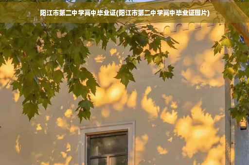 阳江市第二中学高中毕业证(阳江市第二中学高中毕业证图片)