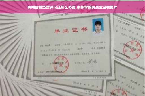 亳州食品经营许可证怎么办理,亳州学院的毕业证书图片