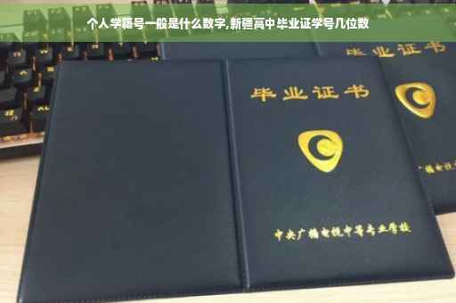 个人学籍号一般是什么数字,新疆高中毕业证学号几位数