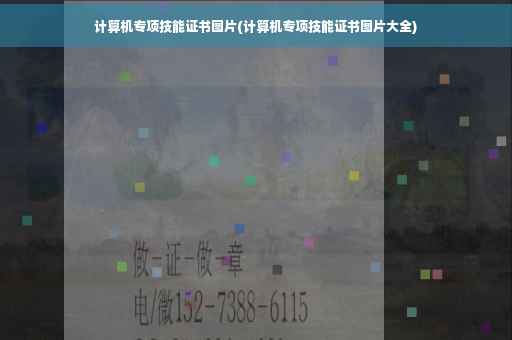 计算机专项技能证书图片(计算机专项技能证书图片大全)