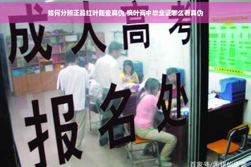 如何分辨正品红叶陶瓷真伪,枫叶高中毕业证怎么看真伪