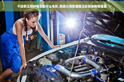 不动明王抓孙悟空是什么电影,西游记真假美猴王到如来佛祖哪里