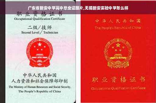 广东省新安中学高中毕业证图片,无锡新安实验中学怎么样