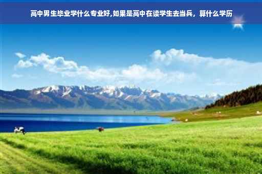 高中男生毕业学什么专业好,如果是高中在读学生去当兵，算什么学历