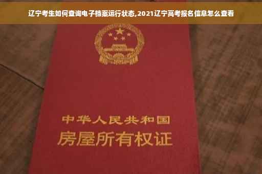 辽宁考生如何查询电子档案运行状态,2021辽宁高考报名信息怎么查看