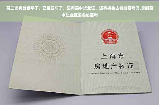高二读完就辍学了，已经四年了，没有高中毕业证，还有机会去参加高考吗,拿到高中毕业证没参加高考