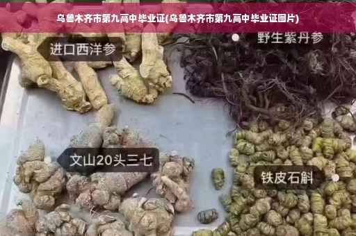 乌鲁木齐市第九高中毕业证(乌鲁木齐市第九高中毕业证图片)