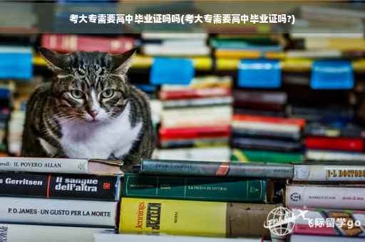 考大专需要高中毕业证吗吗(考大专需要高中毕业证吗?)