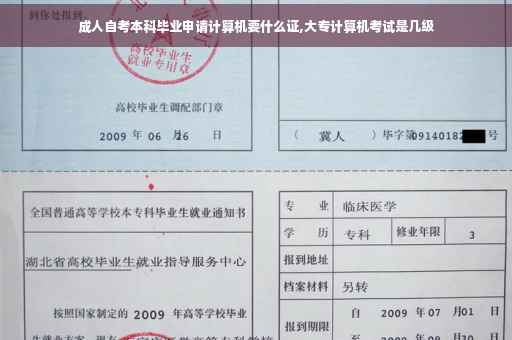 成人自考本科毕业申请计算机要什么证,大专计算机考试是几级