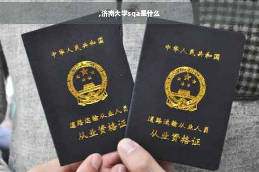 ,济南大学sqa是什么