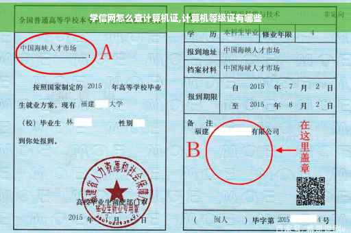 学信网怎么查计算机证,计算机等级证有哪些