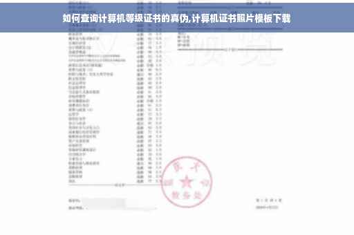 如何查询计算机等级证书的真伪,计算机证书照片模板下载