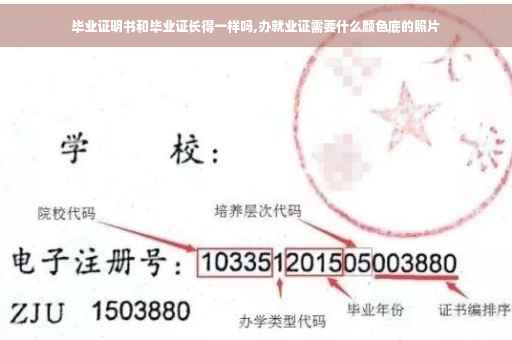 毕业证明书和毕业证长得一样吗,办就业证需要什么颜色底的照片
