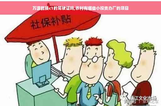 万源能换c1的驾驶证吗,农村有哪些小投资办厂的项目