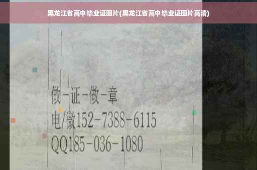 黑龙江省高中毕业证图片(黑龙江省高中毕业证图片高清)