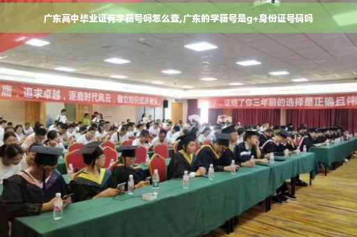 广东高中毕业证有学籍号吗怎么查,广东的学籍号是g+身份证号码吗