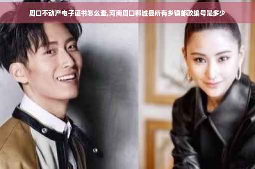 周口不动产电子证书怎么查,河南周口郸城县所有乡镇邮政编号是多少