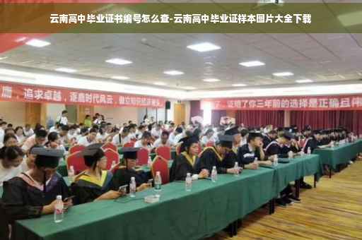 云南高中毕业证书编号怎么查-云南高中毕业证样本图片大全下载