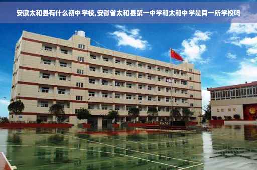 安徽太和县有什么初中学校,安徽省太和县第一中学和太和中学是同一所学校吗