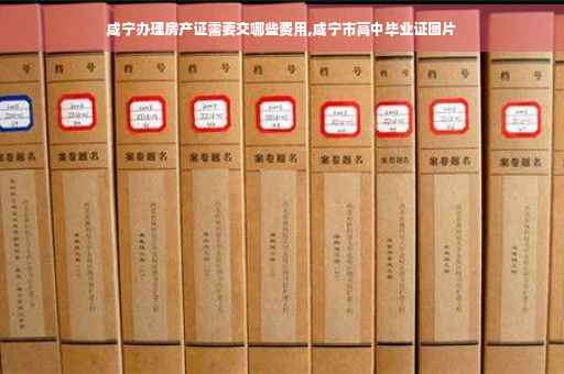咸宁办理房产证需要交哪些费用,咸宁市高中毕业证图片