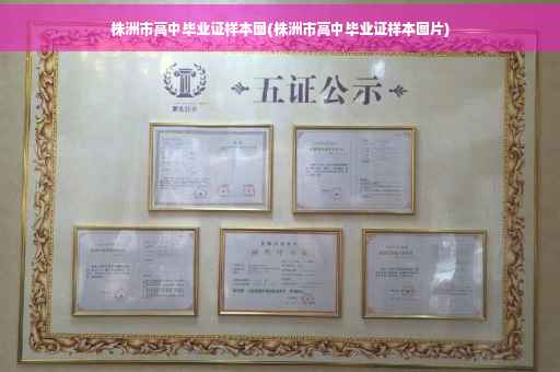 株洲市高中毕业证样本图(株洲市高中毕业证样本图片)