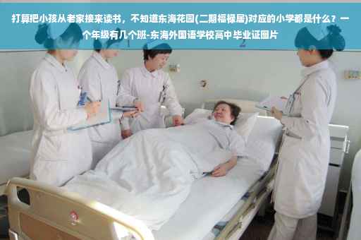 打算把小孩从老家接来读书，不知道东海花园(二期福禄居)对应的小学都是什么？一个年级有几个班-东海外国语学校高中毕业证图片