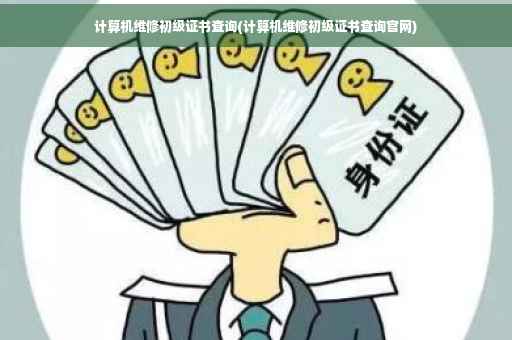 计算机维修初级证书查询(计算机维修初级证书查询官网)