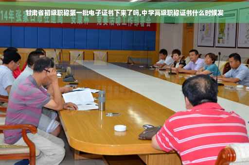甘肃省初级职称第一批电子证书下来了吗,中学高级职称证书什么时候发