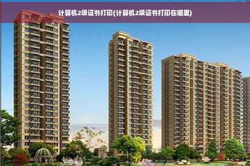 计算机2级证书打印(计算机2级证书打印在哪里)