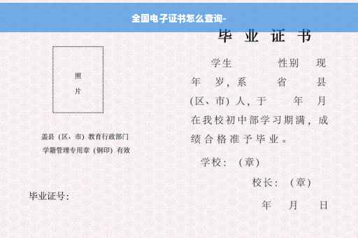 全国电子证书怎么查询-