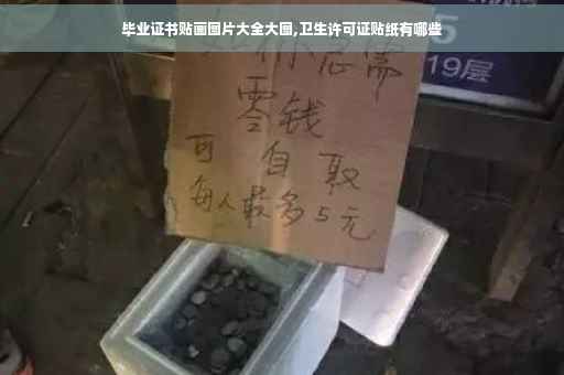 毕业证书贴画图片大全大图,卫生许可证贴纸有哪些