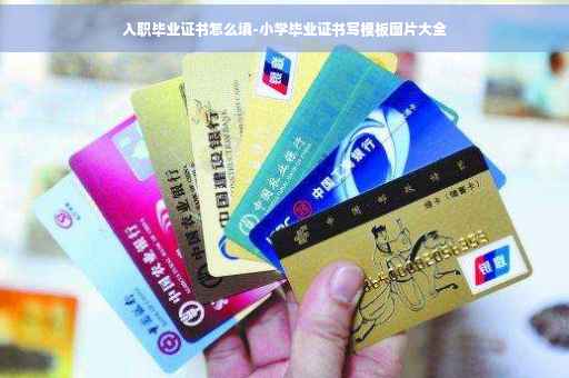 入职毕业证书怎么填-小学毕业证书写模板图片大全