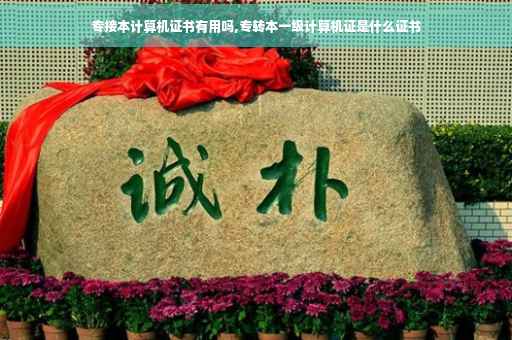 专接本计算机证书有用吗,专转本一级计算机证是什么证书