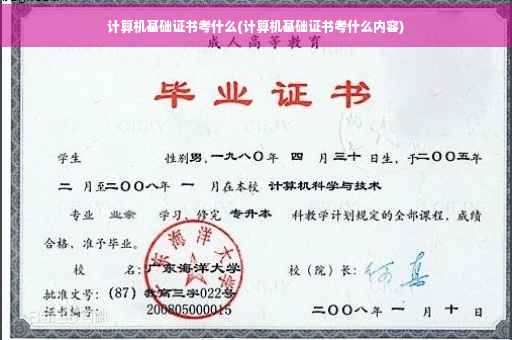 计算机基础证书考什么(计算机基础证书考什么内容)