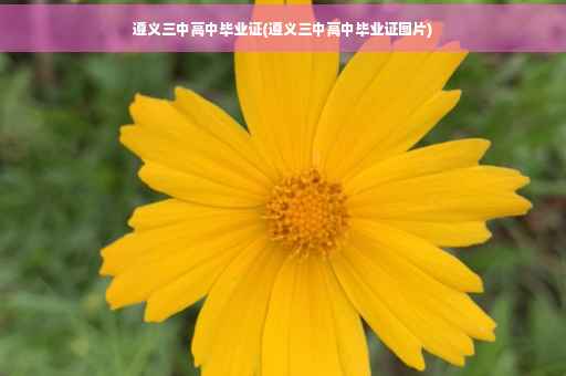 遵义三中高中毕业证(遵义三中高中毕业证图片)