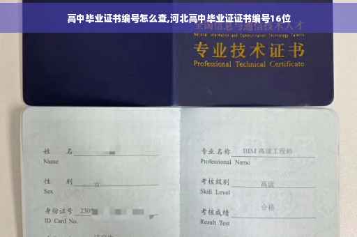 高中毕业证书编号怎么查,河北高中毕业证证书编号16位