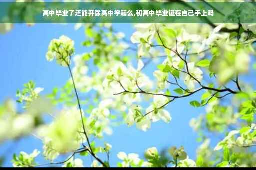 高中毕业了还能开除高中学籍么,初高中毕业证在自己手上吗