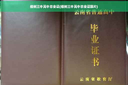 樟树三中高中毕业证(樟树三中高中毕业证图片)