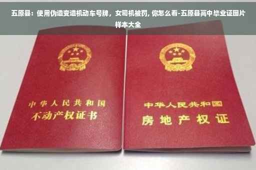 五原县：使用伪造变造机动车号牌，女司机被罚, 你怎么看-五原县高中毕业证图片样本大全