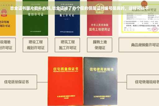 毕业证书图片能补办吗,毕业证掉了办个假的但是证书编号是真的，这样可以不