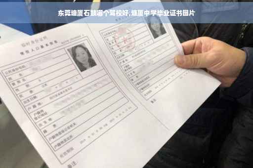 东莞塘厦石鼓哪个驾校好,塘厦中学毕业证书图片