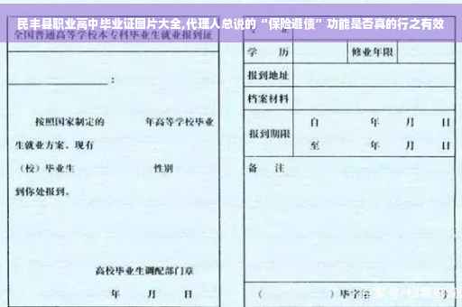 民丰县职业高中毕业证图片大全,代理人总说的“保险避债”功能是否真的行之有效