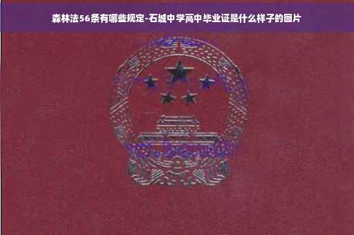 森林法56条有哪些规定-石城中学高中毕业证是什么样子的图片